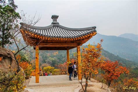 象山公園需要完多久